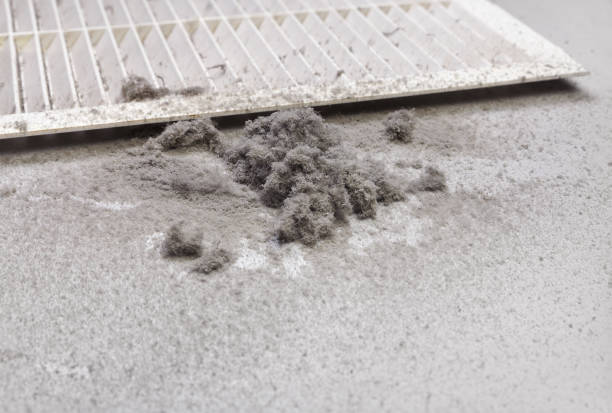 Best Air Duct Cleaning Company Near Me  in Elmira Heights, NY