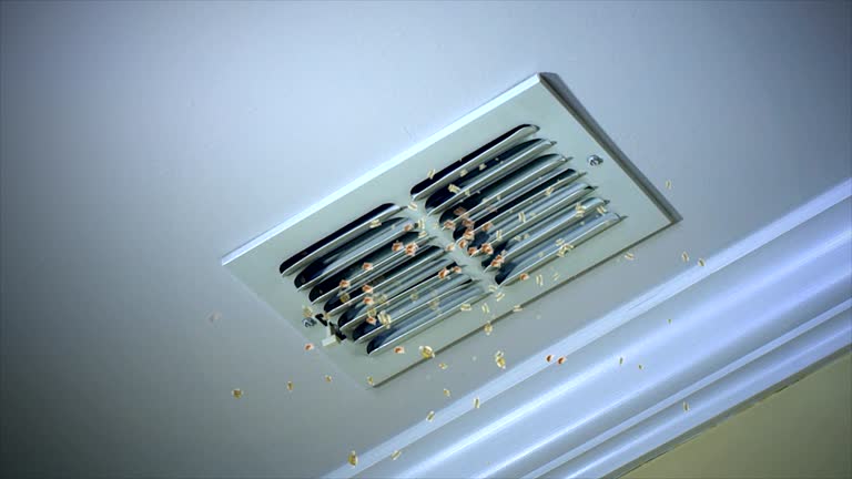 Best Best Air Duct Cleaning Near Me  in Elmira Heights, NY