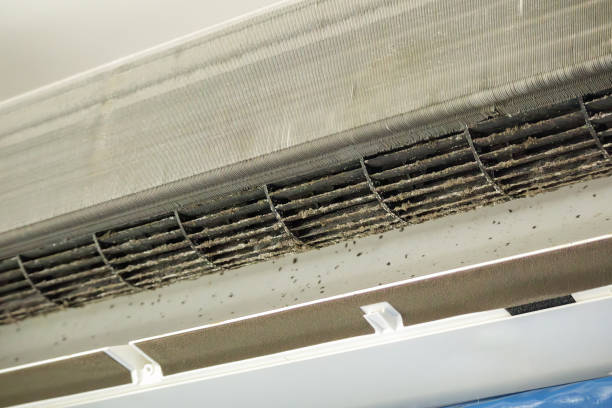 Best HVAC System Cleaning  in Elmira Heights, NY